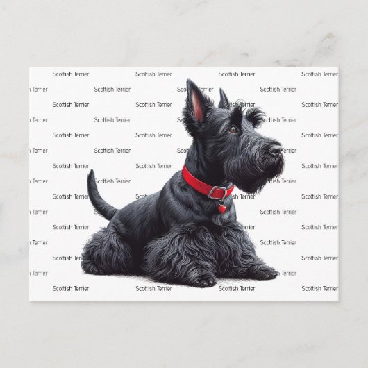 Scottish Terrier in Briefkaart (Voorkant)