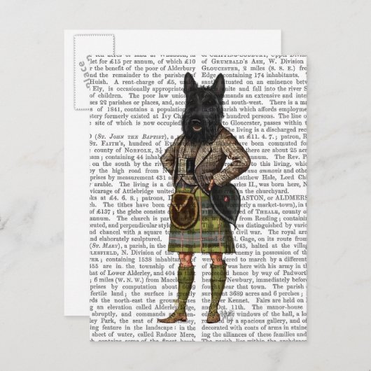 Scottish Terrier in Kilt Briefkaart (Voorkant / Achterkant)