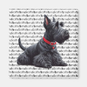 Scottish Terrier in Magneet