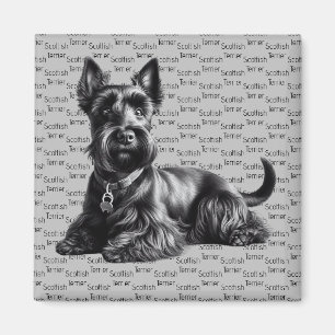 Scottish Terrier in Magneet