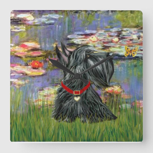 Scottish Terrier in Monet's Lilies Vierkante Klok (Voorkant)