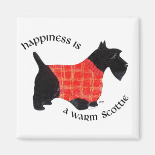 Scottish Terrier in Red Pset Sweater Magneet