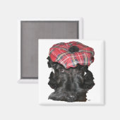 Scottish Terrier in Tam-o-Shanter Magneet (Voorkant / Achterkant)