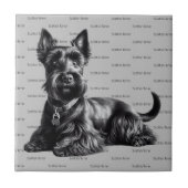 Scottish Terrier in Tegeltje (Voorkant)