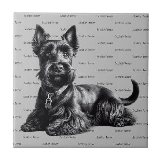 Scottish Terrier in Tegeltje (Voorkant)