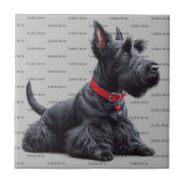 Scottish Terrier in Tegeltje (Voorkant)