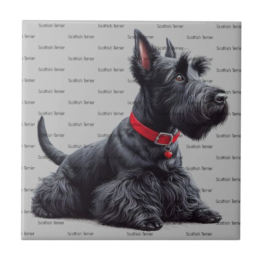 Scottish Terrier in Tegeltje (Voorkant)