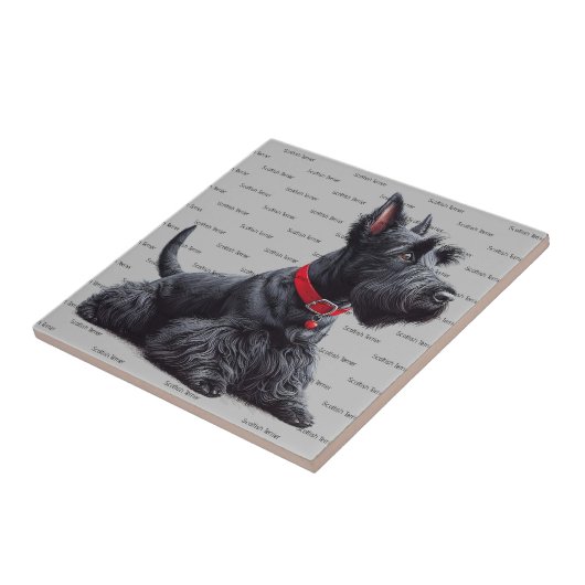 Scottish Terrier in Tegeltje (Zijkant)