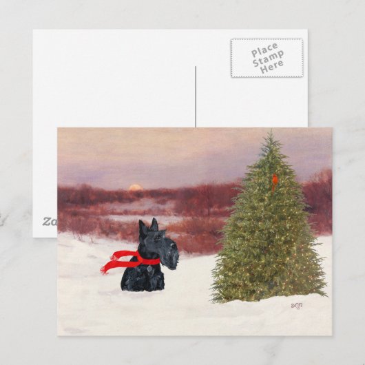 Scottish Terrier in Wintertime Briefkaart (Voorkant / Achterkant)