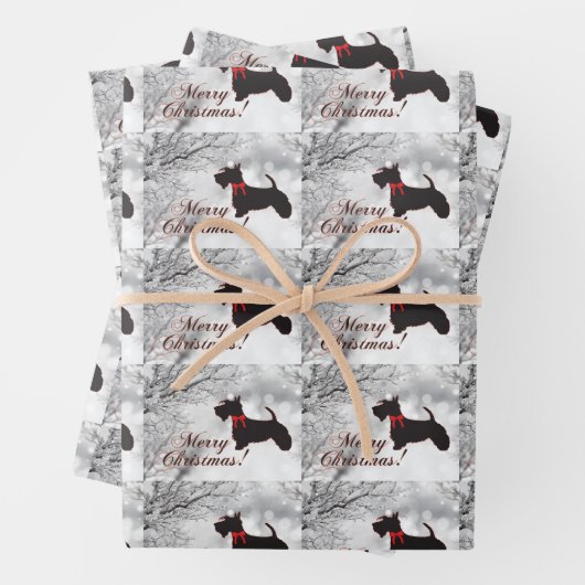 Scottish Terrier Inpakpapier Vel (In situ)