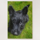 Scottish Terrier Jigsaws. Legpuzzel (Verticaal)