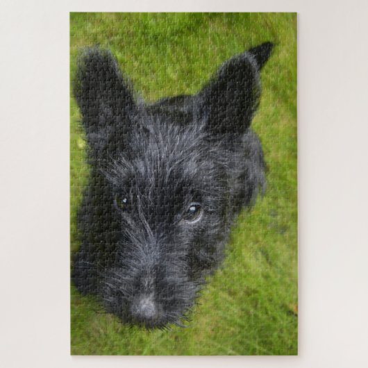 Scottish Terrier Jigsaws. Legpuzzel (Verticaal)