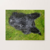 Scottish Terrier Jigsaws. Legpuzzel (Horizontaal)