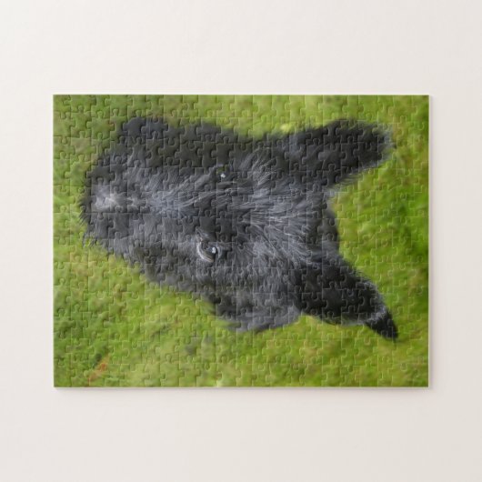 Scottish Terrier Jigsaws. Legpuzzel (Horizontaal)