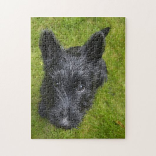 Scottish Terrier Jigsaws. Legpuzzel (Verticaal)
