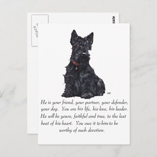 Scottish Terrier Keepomwille - MALE Dog Briefkaart (Voorkant / Achterkant)