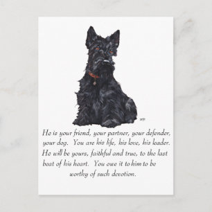 Scottish Terrier Keepomwille - MALE Dog Briefkaart