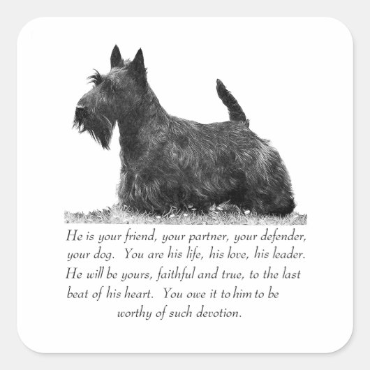 Scottish Terrier Keepomwille - MALE Dog Vierkante Sticker (Voorkant)