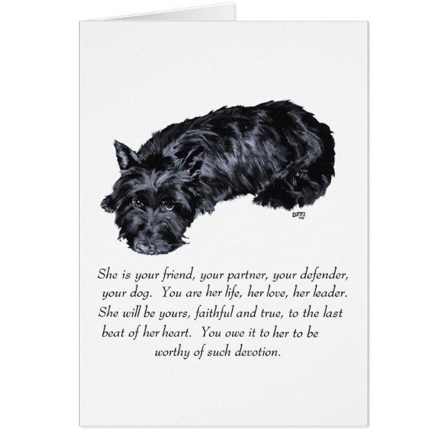 Scottish Terrier Keepomwille - VROUW (Voorkant)