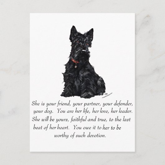 Scottish Terrier Keepomwille - VROUW Briefkaart (Voorkant)