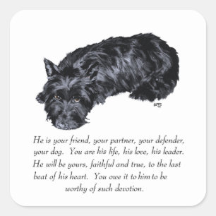 Scottish Terrier Keepsakes - MALE Vierkante Sticker