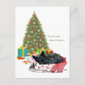 Scottish Terrier Kerstmis Nap Feestdagenkaart (Voorkant)