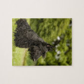 Scottish Terrier Legpuzzel (Horizontaal)