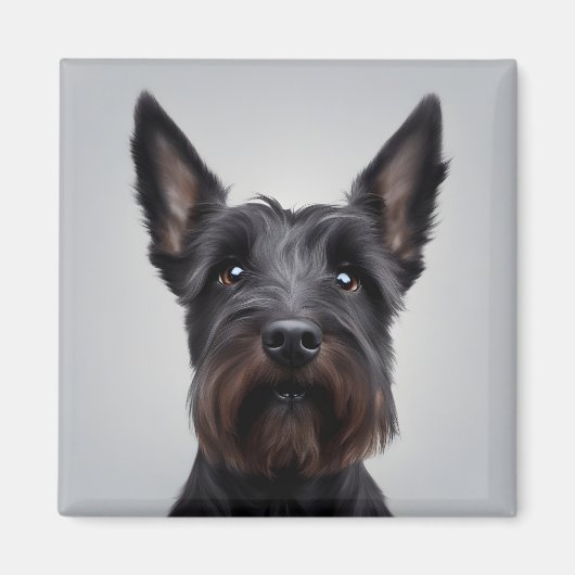Scottish Terrier Magneet (Voorkant)