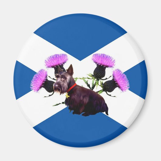 Scottish Terrier Magneet (Voorkant)