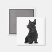 Scottish Terrier Magnet (Voorkant / Achterkant)