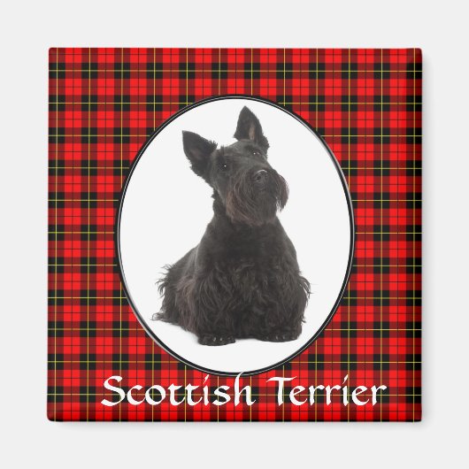Scottish Terrier Magnet (Voorkant)