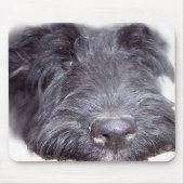 Scottish Terrier Muismat (Voorkant)