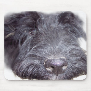 Scottish Terrier Muismat