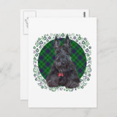 Scottish Terrier op Tartan Briefkaart (Voorkant / Achterkant)