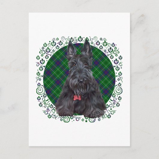 Scottish Terrier op Tartan Briefkaart (Voorkant)