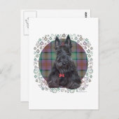 Scottish Terrier op Tartan Briefkaart (Voorkant / Achterkant)