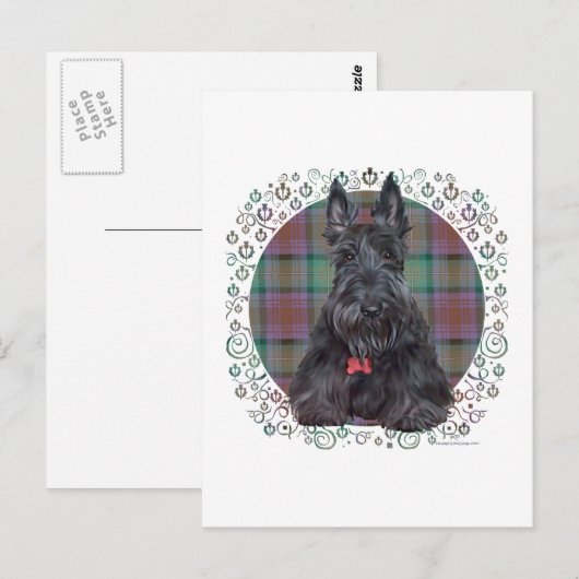 Scottish Terrier op Tartan Briefkaart (Voorkant / Achterkant)