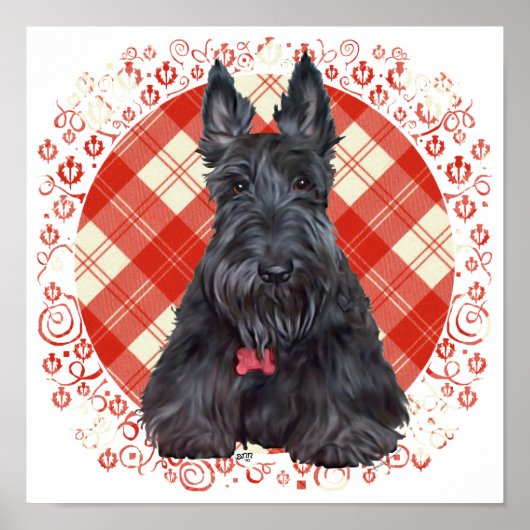 Scottish Terrier op Tartan Poster (Voorkant)