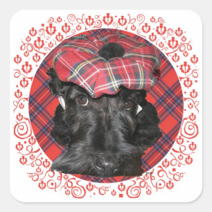 Scottish Terrier op Tartan Vierkante Sticker