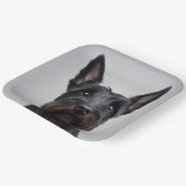 Scottish Terrier Papieren Bordje (Gebogen)