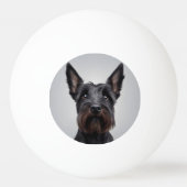 Scottish Terrier Pingpongbal (Voorkant)