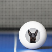 Scottish Terrier Pingpongbal (Net)