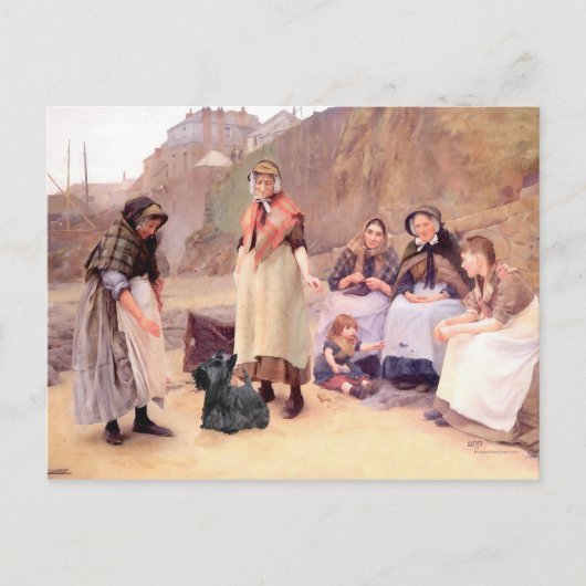 Scottish Terrier Post Kaart (Voorkant)