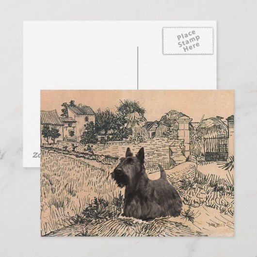 Scottish Terrier Post Kaart (Voorkant / Achterkant)