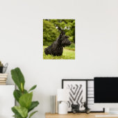 Scottish Terrier Poster (Thuiskantoor)