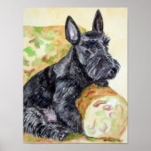 Scottish Terrier Print Poster (Voorkant)