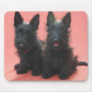 Scottish Terrier puppies mousepad Muismat