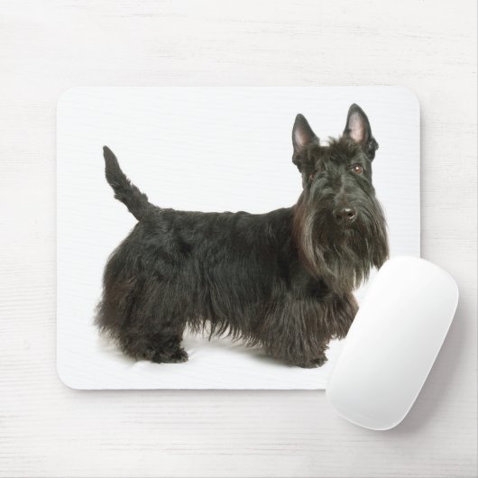 Scottish Terrier Puppy Dog Mousepad Muismat (Met muis)