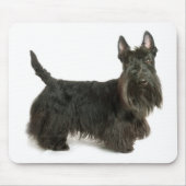 Scottish Terrier Puppy Dog Mousepad Muismat (Voorkant)