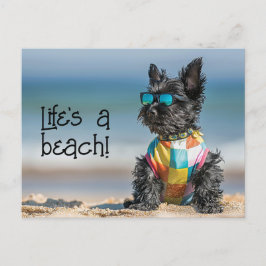 Scottish Terrier Puppy met zonnebril Briefkaart